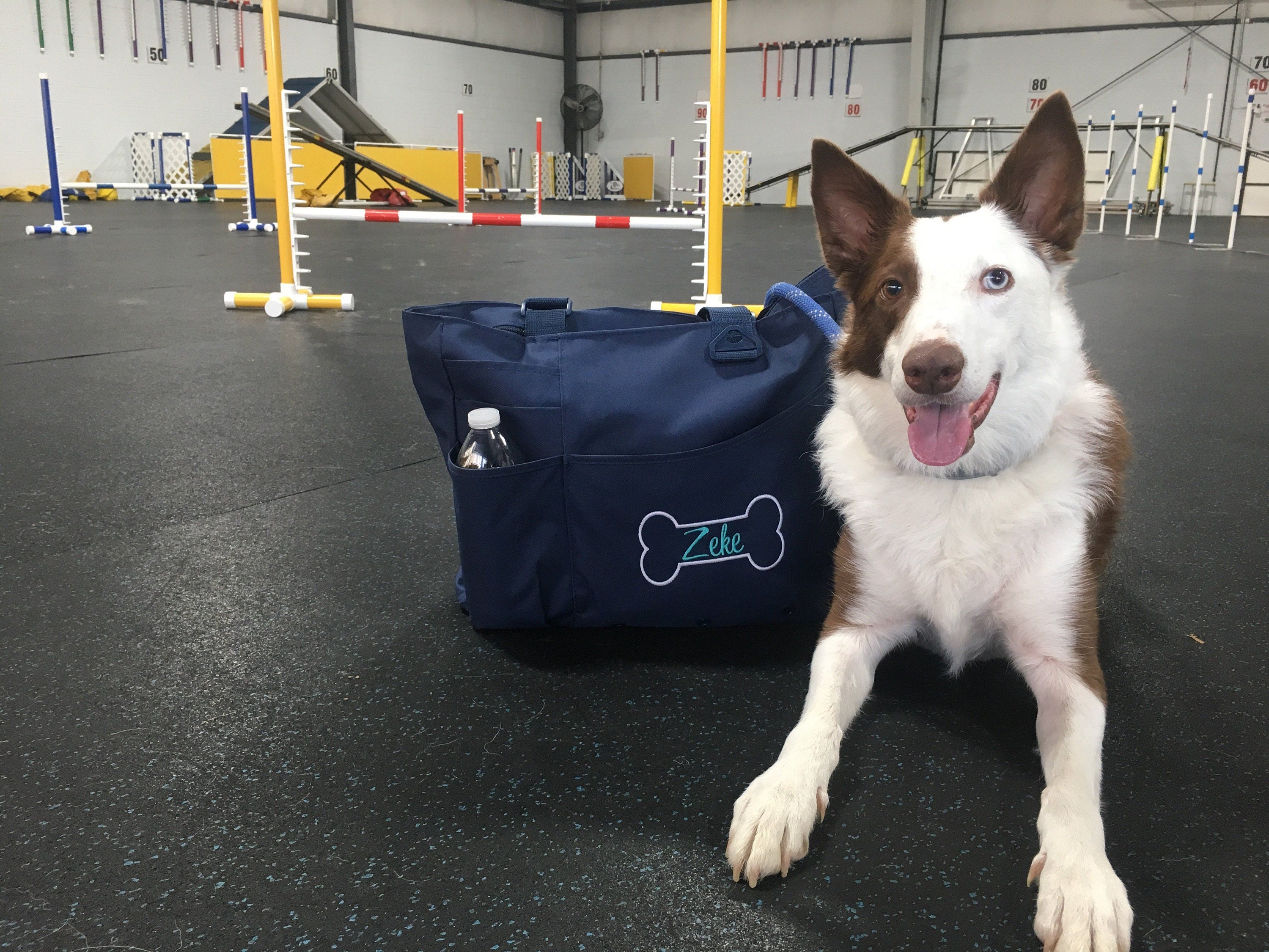Custom Puppy Tote - Personalized Pet Bag