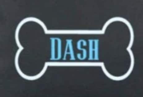 Personalized Dog Tote Bag with Full Zipper