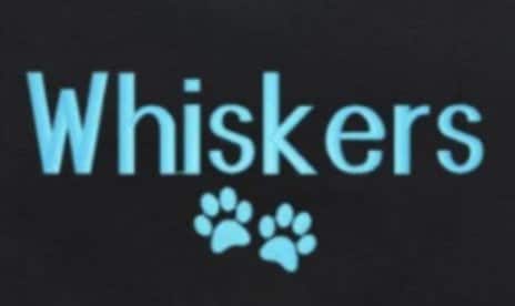 Kitten or Cat Bag - Cat Lover Gift