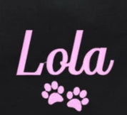 Kitten or Cat Bag - Cat Lover Gift