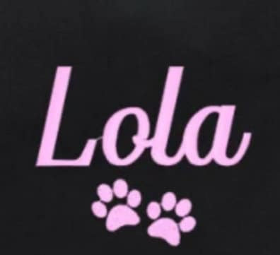 Kitten or Cat Bag - Cat Lover Gift