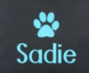 Pet Travel Daycare Tote