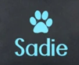 Pet Travel Daycare Tote