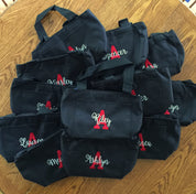 Two Color Lunch Tote