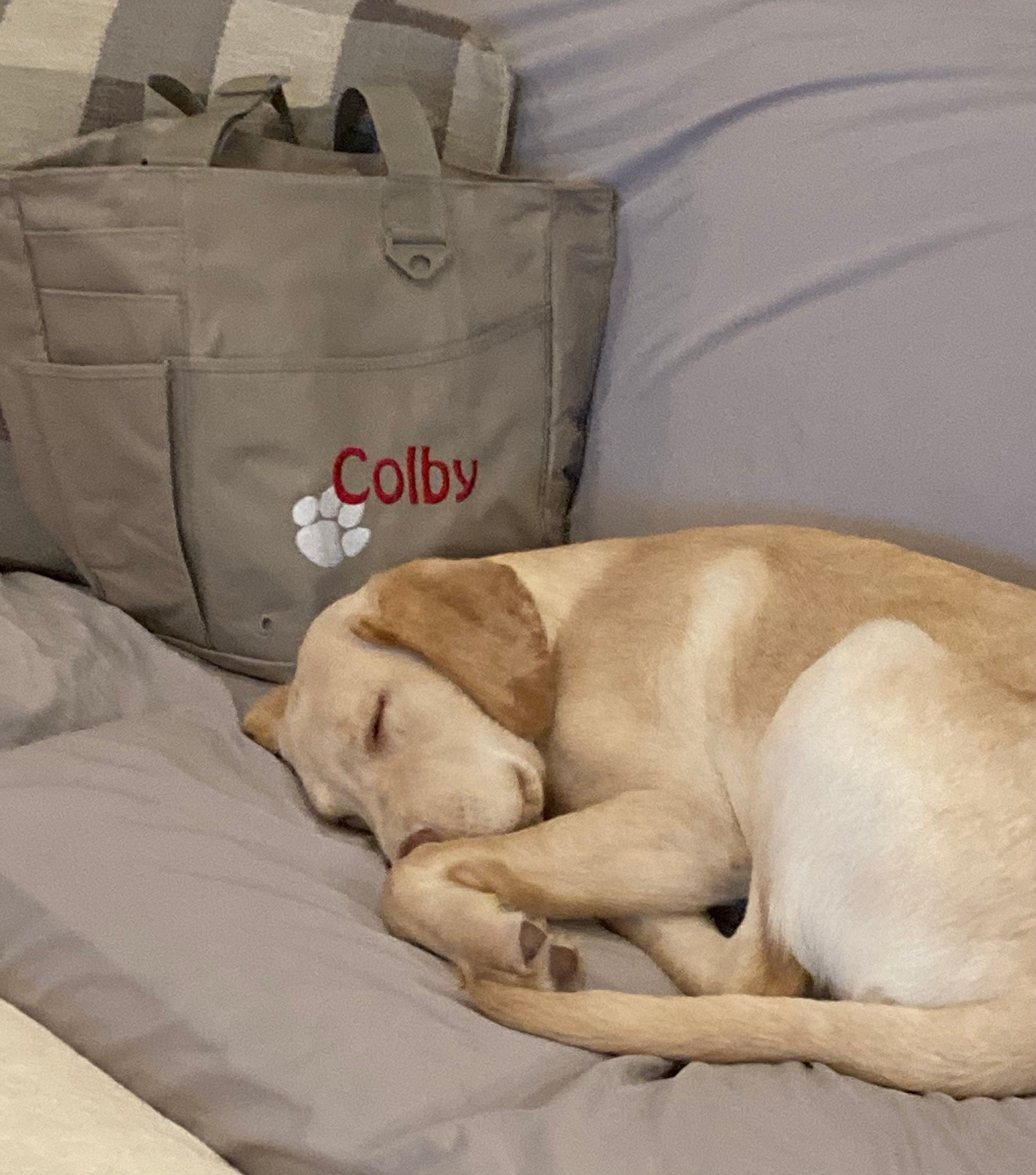 Personalized Dog Travel Tote Bag
