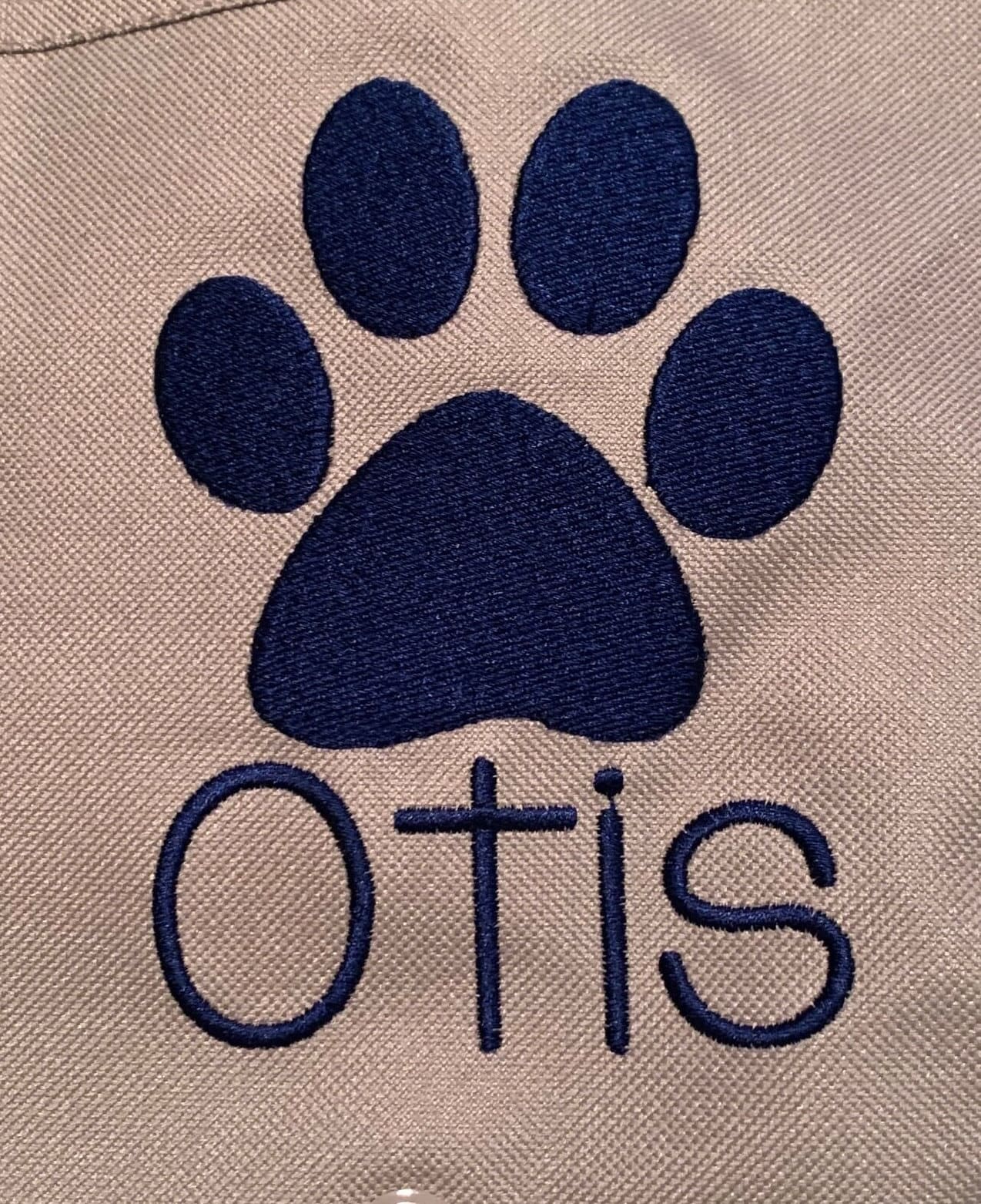 Jumbo Paw Print Puppy Tote