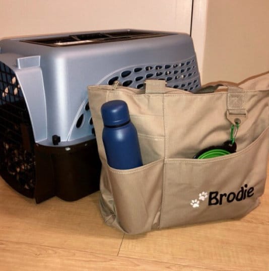 New Kitten Gift - Cat Bag - Kitten Tote - Cat Gift