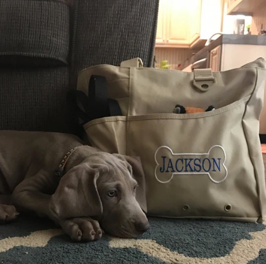 Doggie Daycare Day Camp Pet Tote