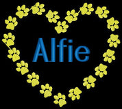 Paw Print Heart Puppy Pet Bag