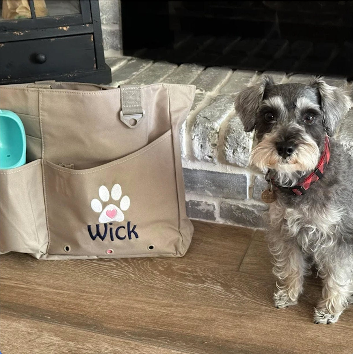 Custom Name Doggie Day Care Bag