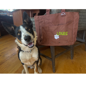 Custom Name Doggie Day Care Bag