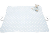 Baby Blanket Bear Plush Set