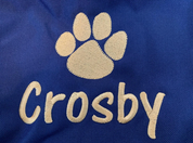 Personalized Pet Backpack
