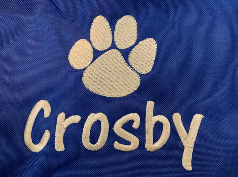 Personalized Pet Backpack