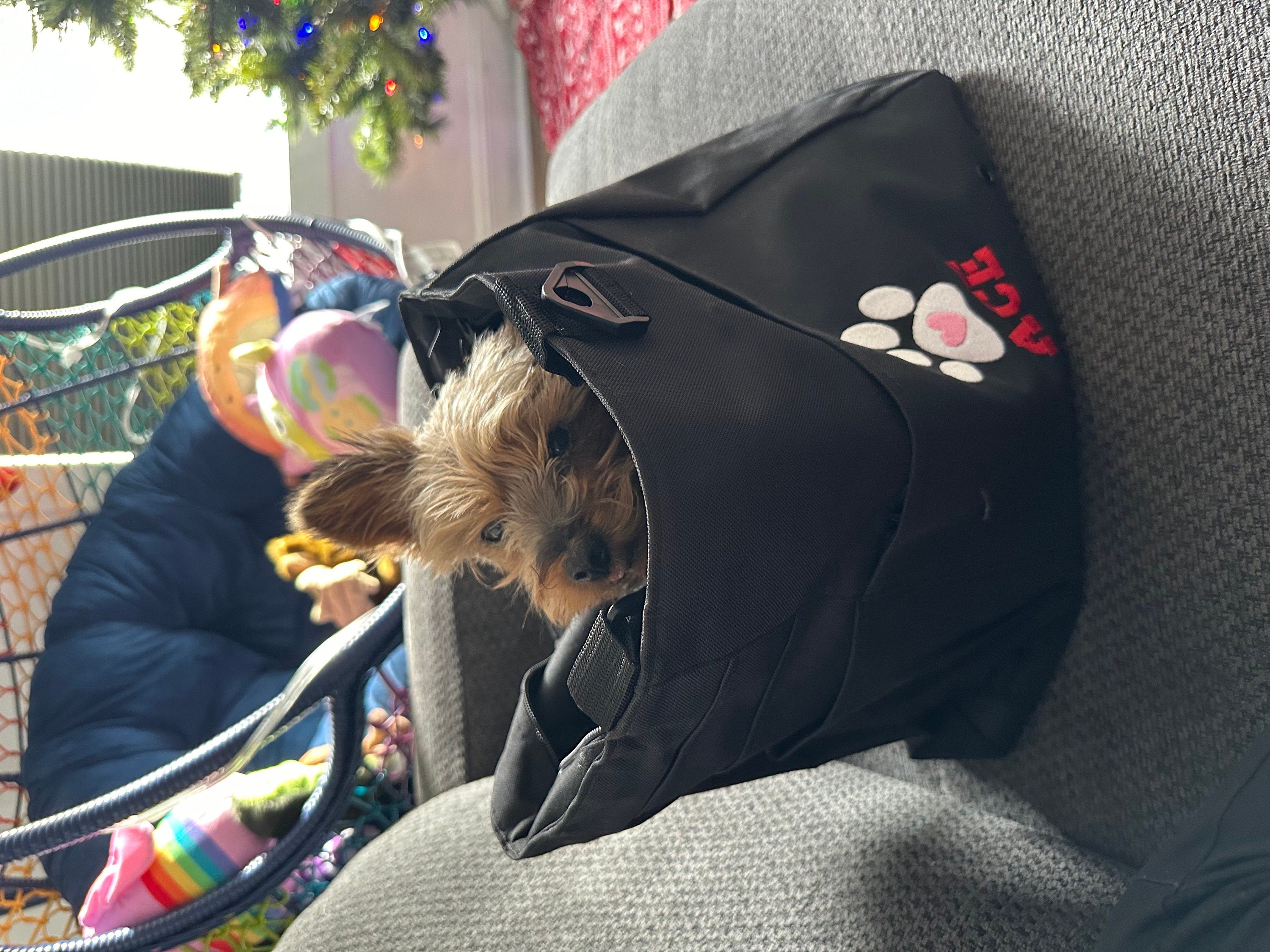 Doggie Day Care Bag - New Puppy Gift