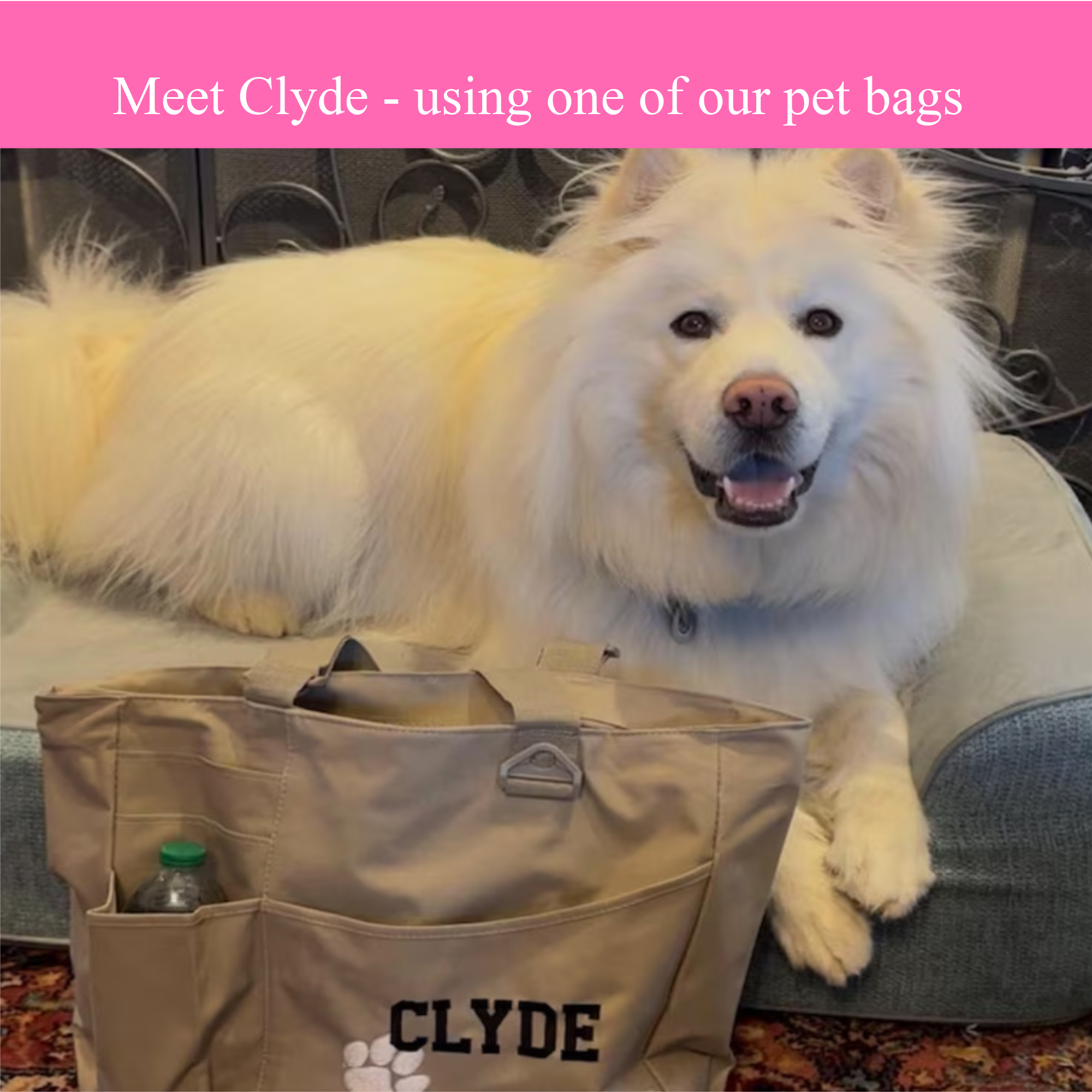 Doggie Daycare Day Camp Pet Tote
